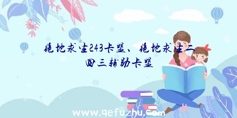 绝地求生243卡盟、绝地求生二四三辅助卡盟