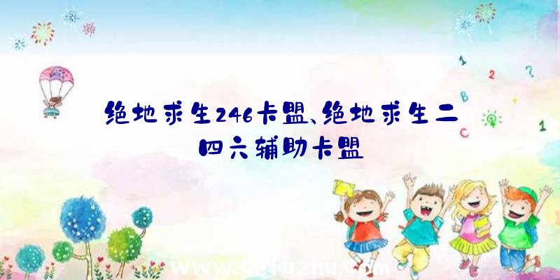 绝地求生246卡盟、绝地求生二四六辅助卡盟