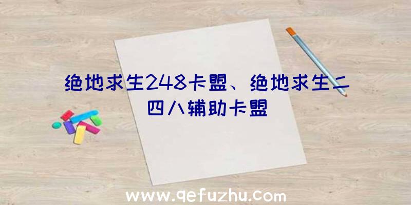 绝地求生248卡盟、绝地求生二四八辅助卡盟