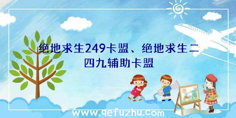 绝地求生249卡盟、绝地求生二四九辅助卡盟