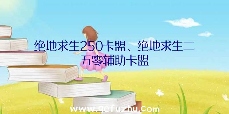 绝地求生250卡盟、绝地求生二五零辅助卡盟