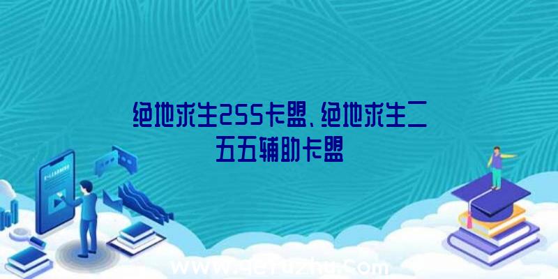 绝地求生255卡盟、绝地求生二五五辅助卡盟