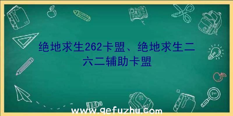 绝地求生262卡盟、绝地求生二六二辅助卡盟