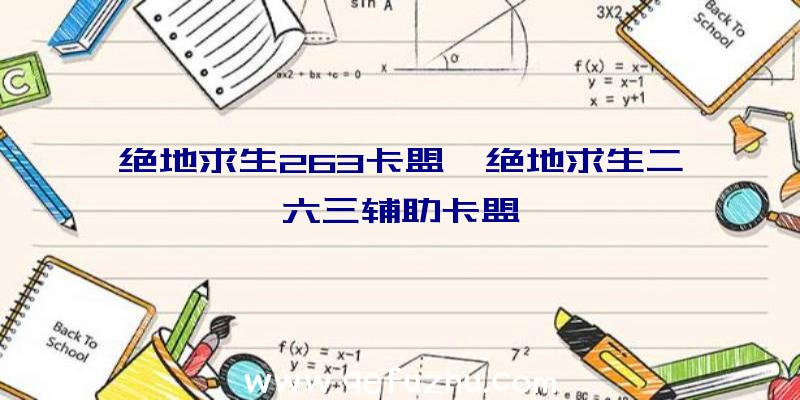 绝地求生263卡盟、绝地求生二六三辅助卡盟