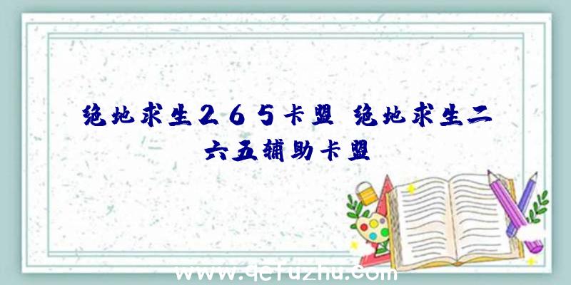 绝地求生265卡盟、绝地求生二六五辅助卡盟