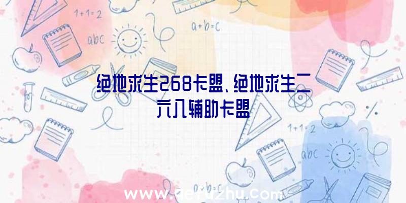 绝地求生268卡盟、绝地求生二六八辅助卡盟