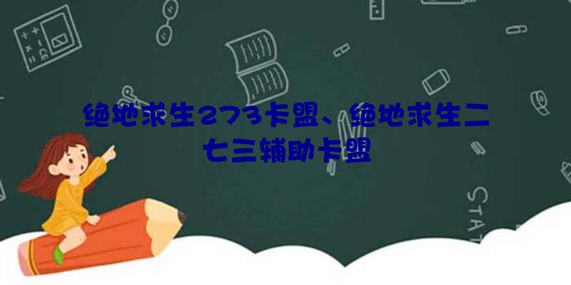 绝地求生273卡盟、绝地求生二七三辅助卡盟