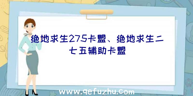 绝地求生275卡盟、绝地求生二七五辅助卡盟