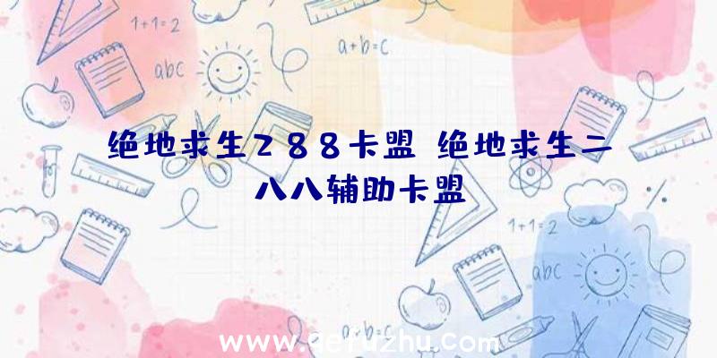 绝地求生288卡盟、绝地求生二八八辅助卡盟