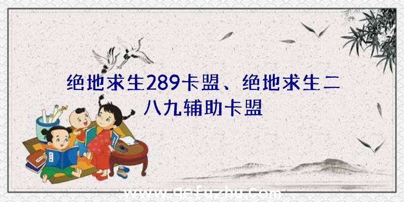 绝地求生289卡盟、绝地求生二八九辅助卡盟