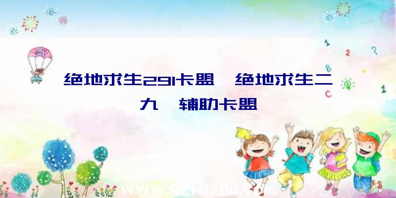 绝地求生291卡盟、绝地求生二九一辅助卡盟