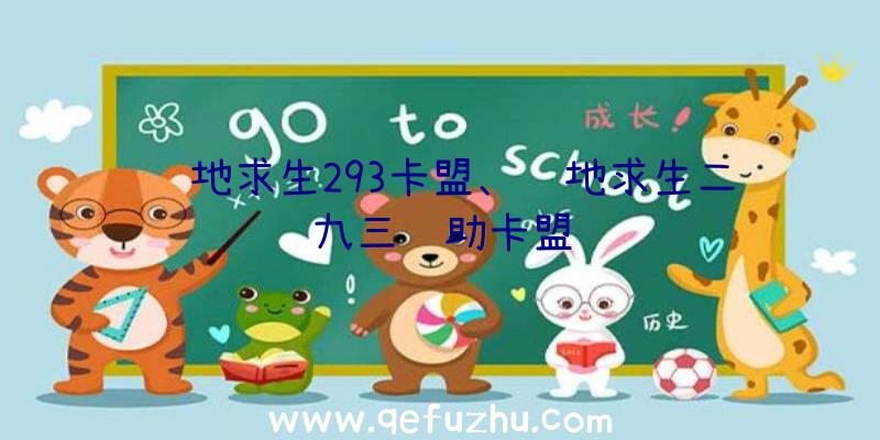 绝地求生293卡盟、绝地求生二九三辅助卡盟