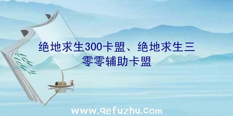 绝地求生300卡盟、绝地求生三零零辅助卡盟