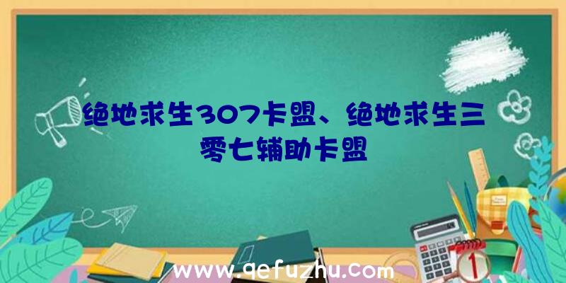 绝地求生307卡盟、绝地求生三零七辅助卡盟