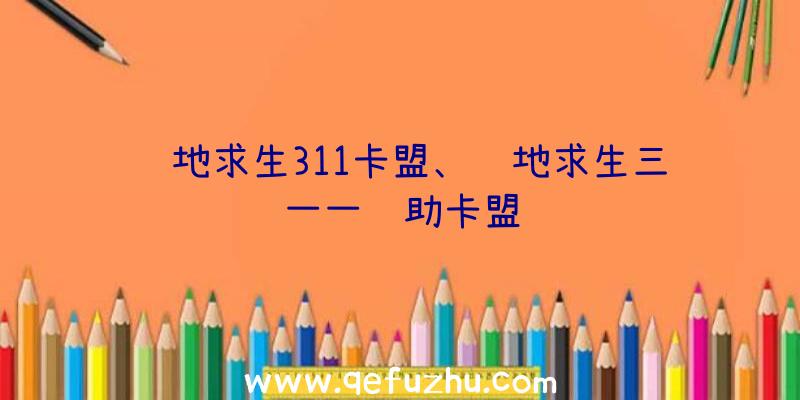 绝地求生311卡盟、绝地求生三一一辅助卡盟