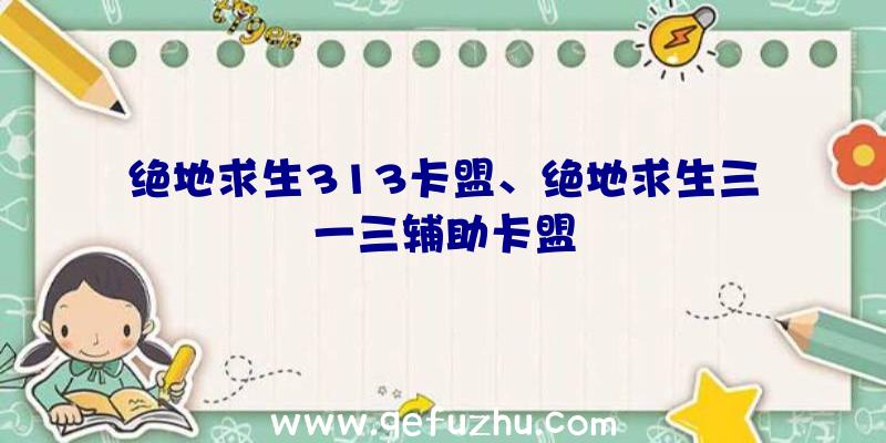 绝地求生313卡盟、绝地求生三一三辅助卡盟