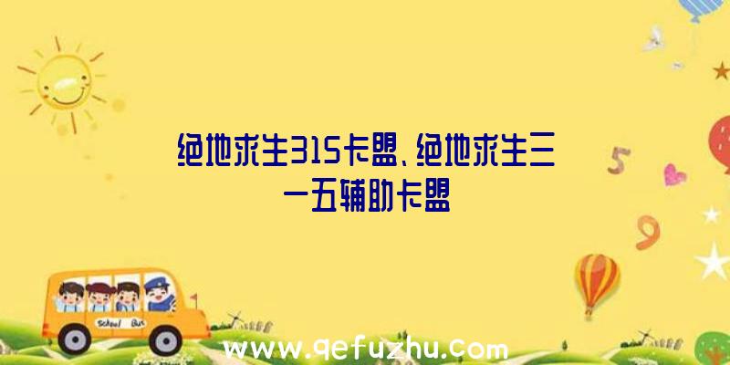 绝地求生315卡盟、绝地求生三一五辅助卡盟