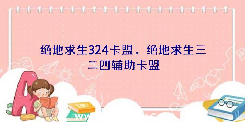 绝地求生324卡盟、绝地求生三二四辅助卡盟