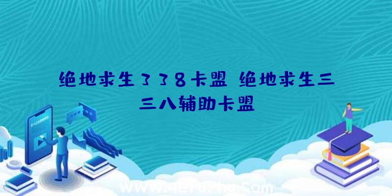 绝地求生338卡盟、绝地求生三三八辅助卡盟