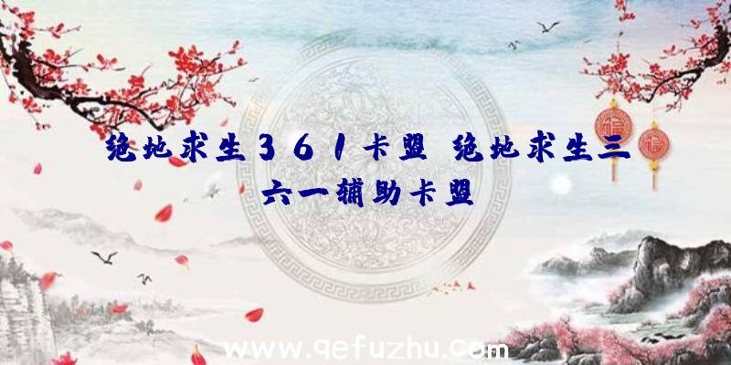 绝地求生361卡盟、绝地求生三六一辅助卡盟