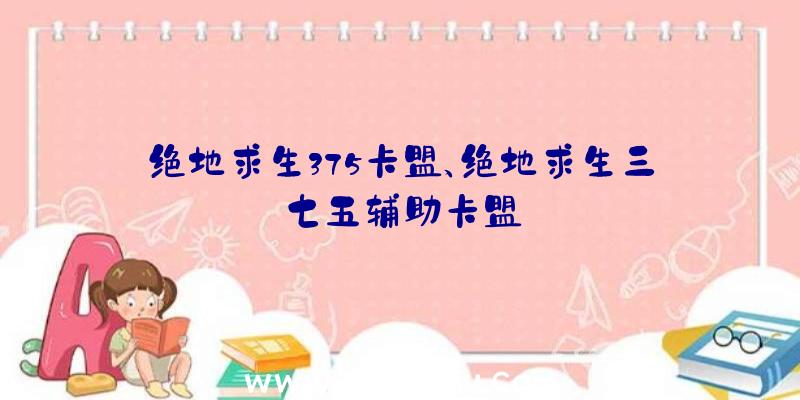 绝地求生375卡盟、绝地求生三七五辅助卡盟