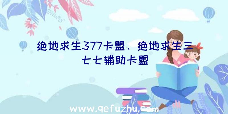 绝地求生377卡盟、绝地求生三七七辅助卡盟