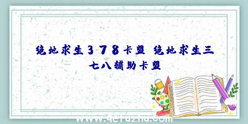 绝地求生378卡盟、绝地求生三七八辅助卡盟