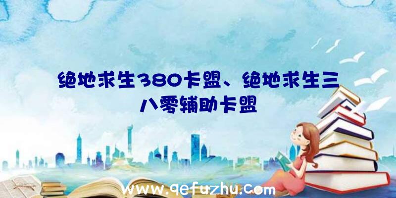 绝地求生380卡盟、绝地求生三八零辅助卡盟