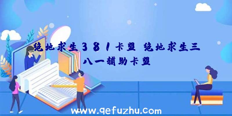 绝地求生381卡盟、绝地求生三八一辅助卡盟