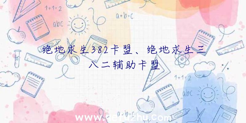 绝地求生382卡盟、绝地求生三八二辅助卡盟