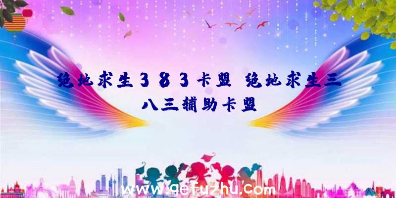 绝地求生383卡盟、绝地求生三八三辅助卡盟