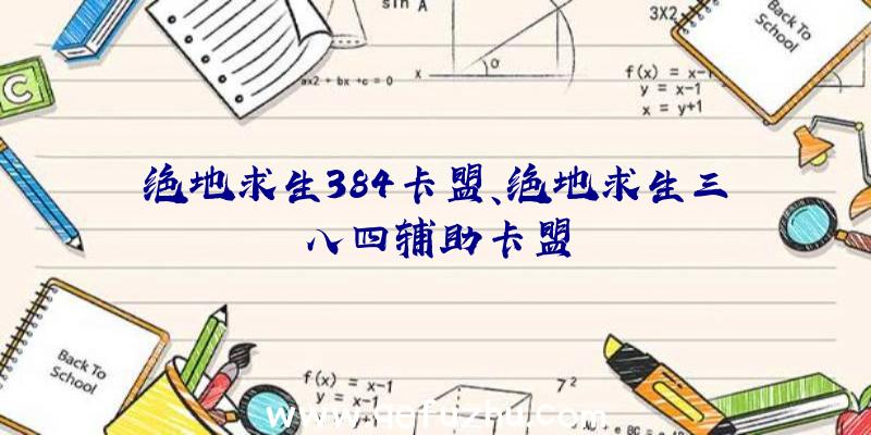 绝地求生384卡盟、绝地求生三八四辅助卡盟