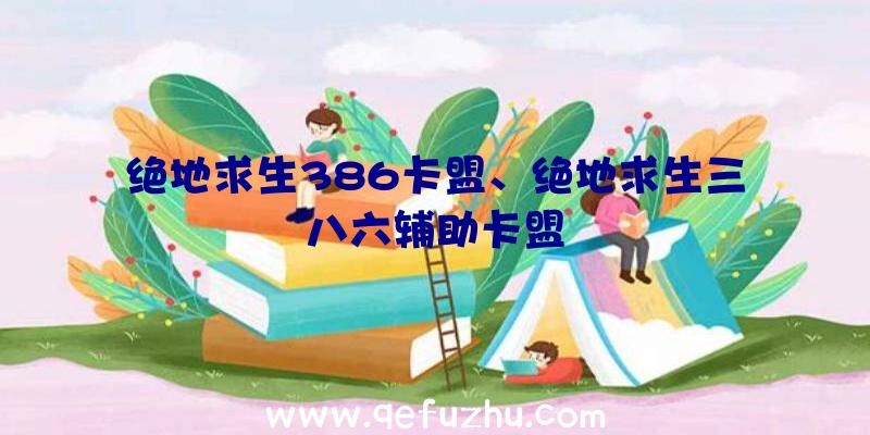 绝地求生386卡盟、绝地求生三八六辅助卡盟