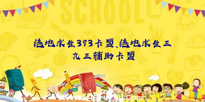 绝地求生393卡盟、绝地求生三九三辅助卡盟