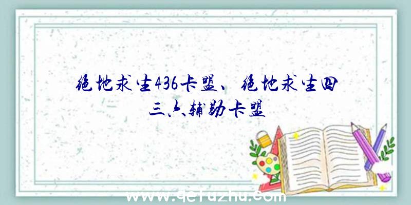 绝地求生436卡盟、绝地求生四三六辅助卡盟