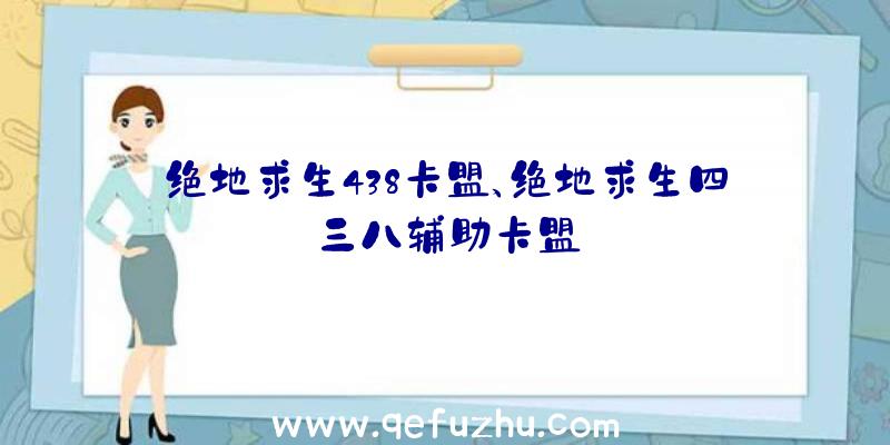 绝地求生438卡盟、绝地求生四三八辅助卡盟