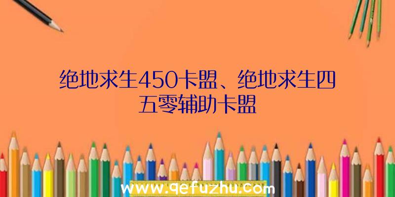 绝地求生450卡盟、绝地求生四五零辅助卡盟