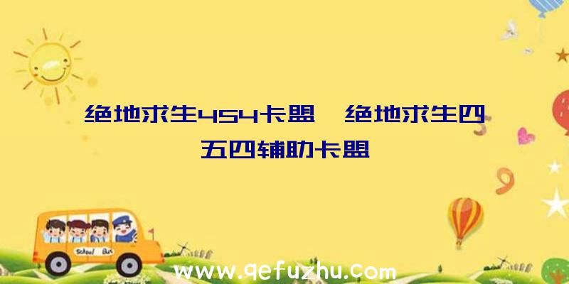 绝地求生454卡盟、绝地求生四五四辅助卡盟