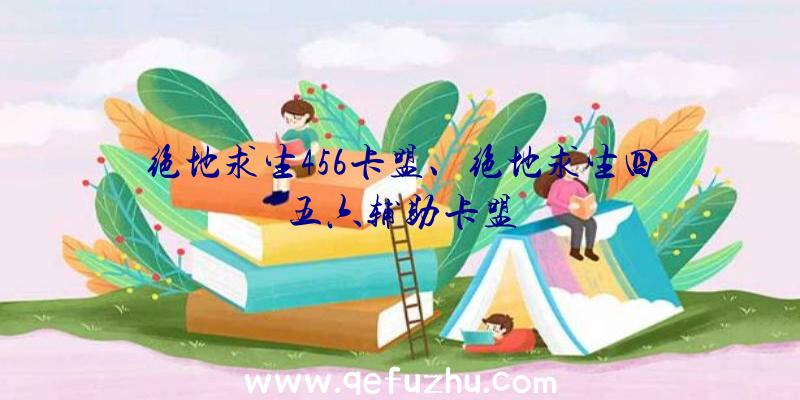 绝地求生456卡盟、绝地求生四五六辅助卡盟