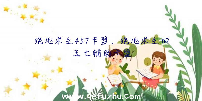 绝地求生457卡盟、绝地求生四五七辅助卡盟