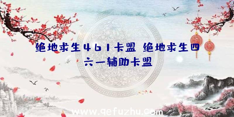 绝地求生461卡盟、绝地求生四六一辅助卡盟