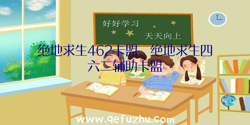 绝地求生462卡盟、绝地求生四六二辅助卡盟