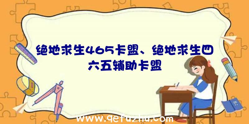 绝地求生465卡盟、绝地求生四六五辅助卡盟