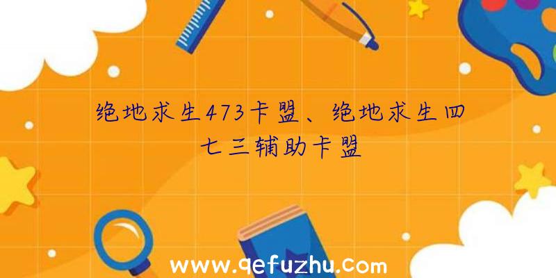 绝地求生473卡盟、绝地求生四七三辅助卡盟