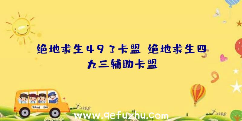 绝地求生493卡盟、绝地求生四九三辅助卡盟