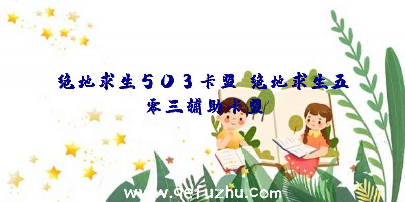 绝地求生503卡盟、绝地求生五零三辅助卡盟