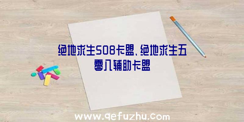 绝地求生508卡盟、绝地求生五零八辅助卡盟