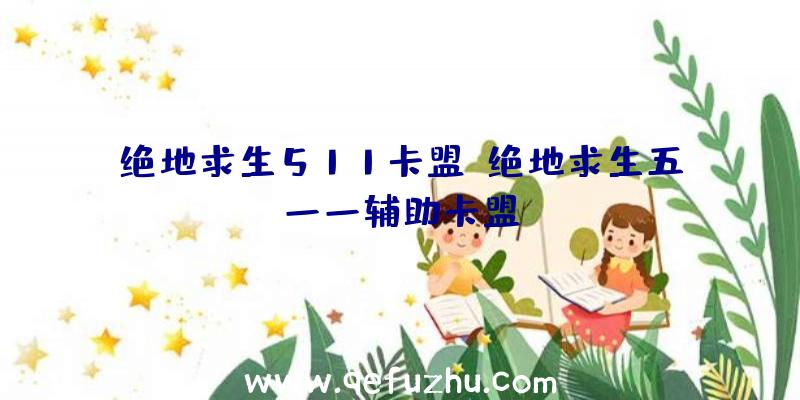 绝地求生511卡盟、绝地求生五一一辅助卡盟