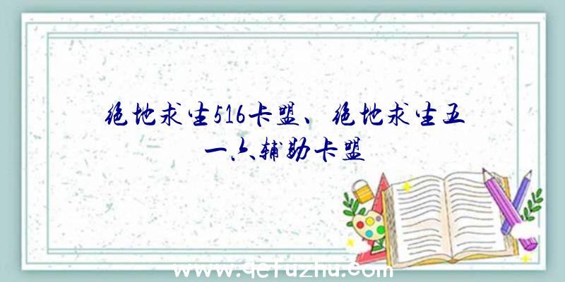 绝地求生516卡盟、绝地求生五一六辅助卡盟