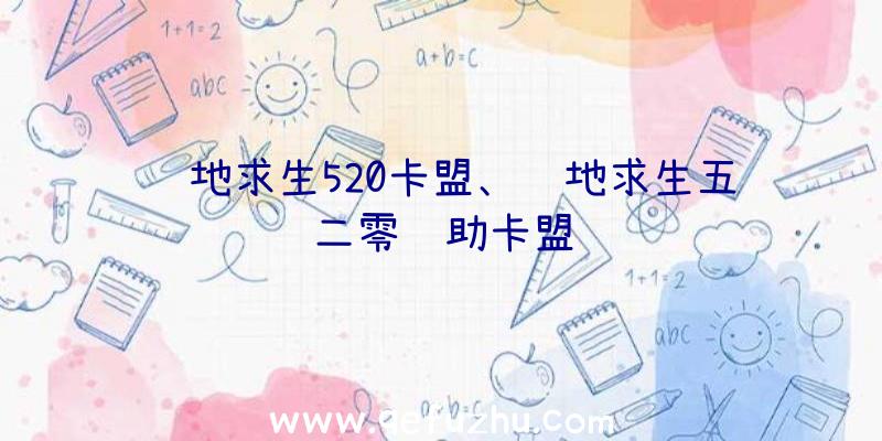 绝地求生520卡盟、绝地求生五二零辅助卡盟